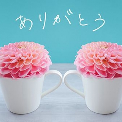 ももかさんの写メ日記投稿2024/11/30 14:25の記事「トロピカーナのお客様」画像