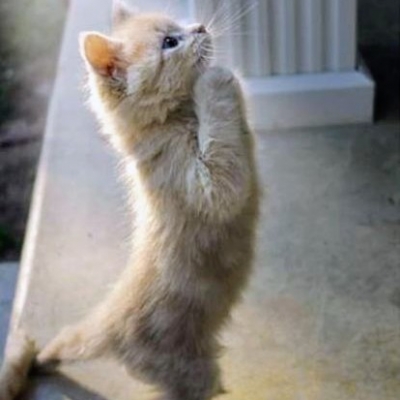 みやびさんの写メ日記投稿2025/12/08 23:53の記事「地震！( ꒪꒫꒪ )」画像