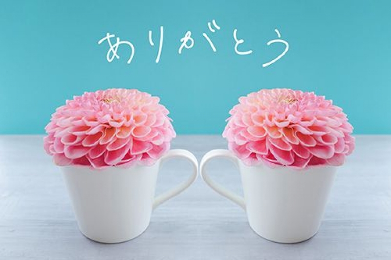 ももかさんの写メ日記投稿2024/11/29 18:03の記事「モス208のお客様」画像