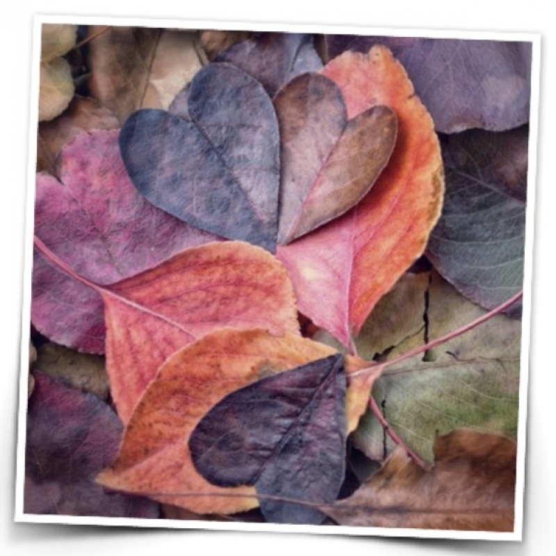 あやさんの写メ日記投稿2025/10/22 10:19の記事「｡:°ஐ*｡おはようございます｡:°ஐ*」画像