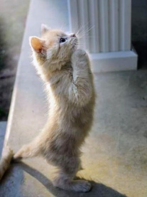 みやびさんの写メ日記投稿2025/12/08 23:53の記事「地震!( ꒪꒫꒪ )」画像