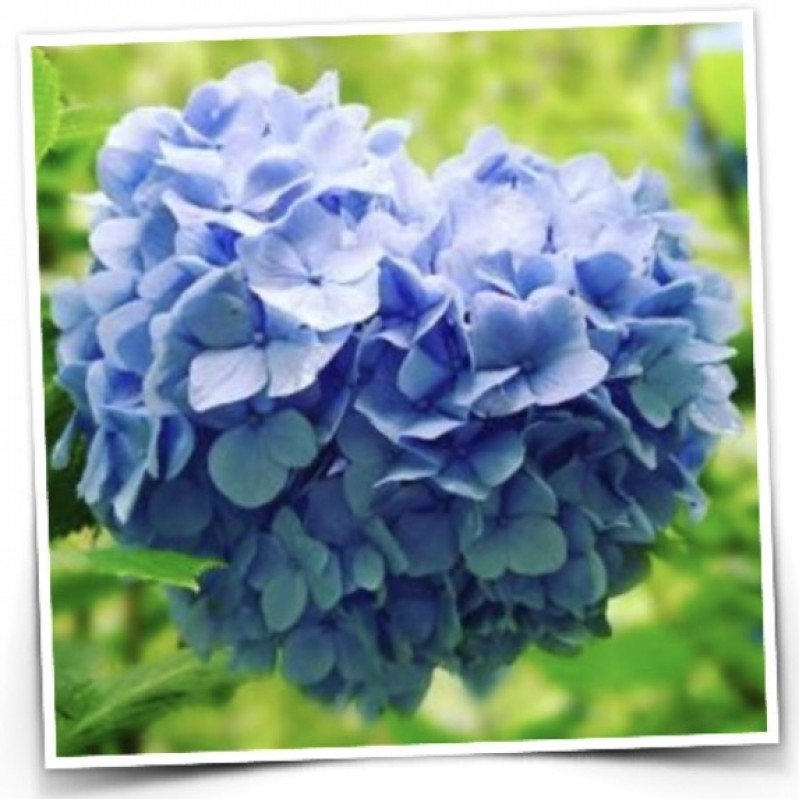 あやさんの写メ日記投稿2026/06/05 12:04の記事「｡:°ஐ*｡ｺﾒﾝﾄ｡:°ஐ*」画像